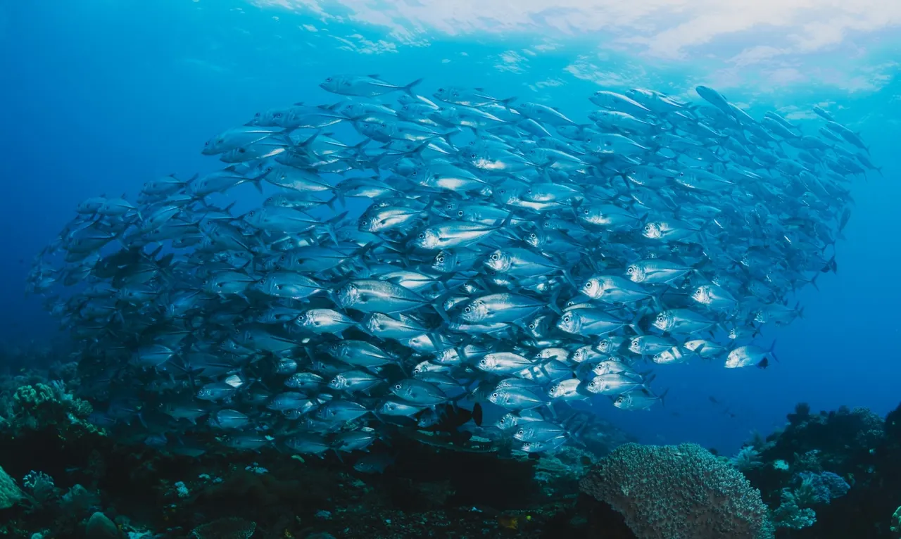 Les Poissons : des Animaux Aquatiques Vertébrés