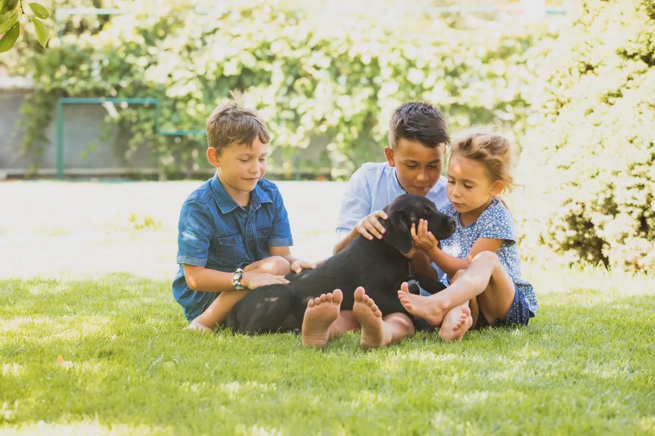 Comment enseigner aux enfants comment prendre soin d’un chien