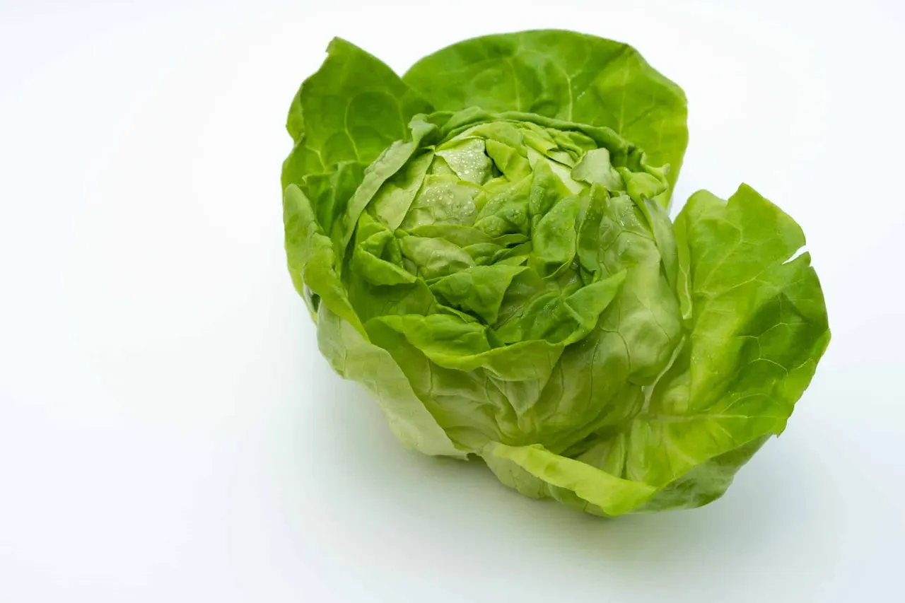 Comment gérer une salade en floraison : préserver le croquant sans compromis