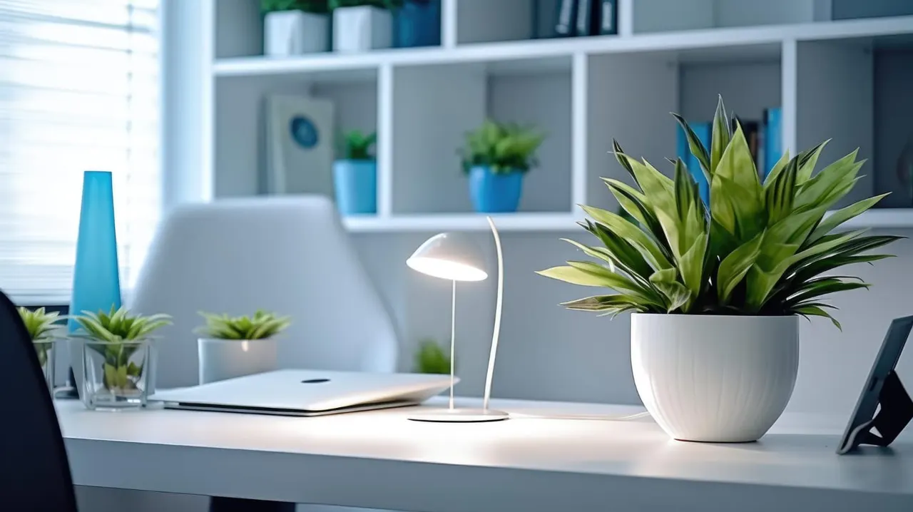 Comment réaliser un jardin zen miniature pour votre bureau ?