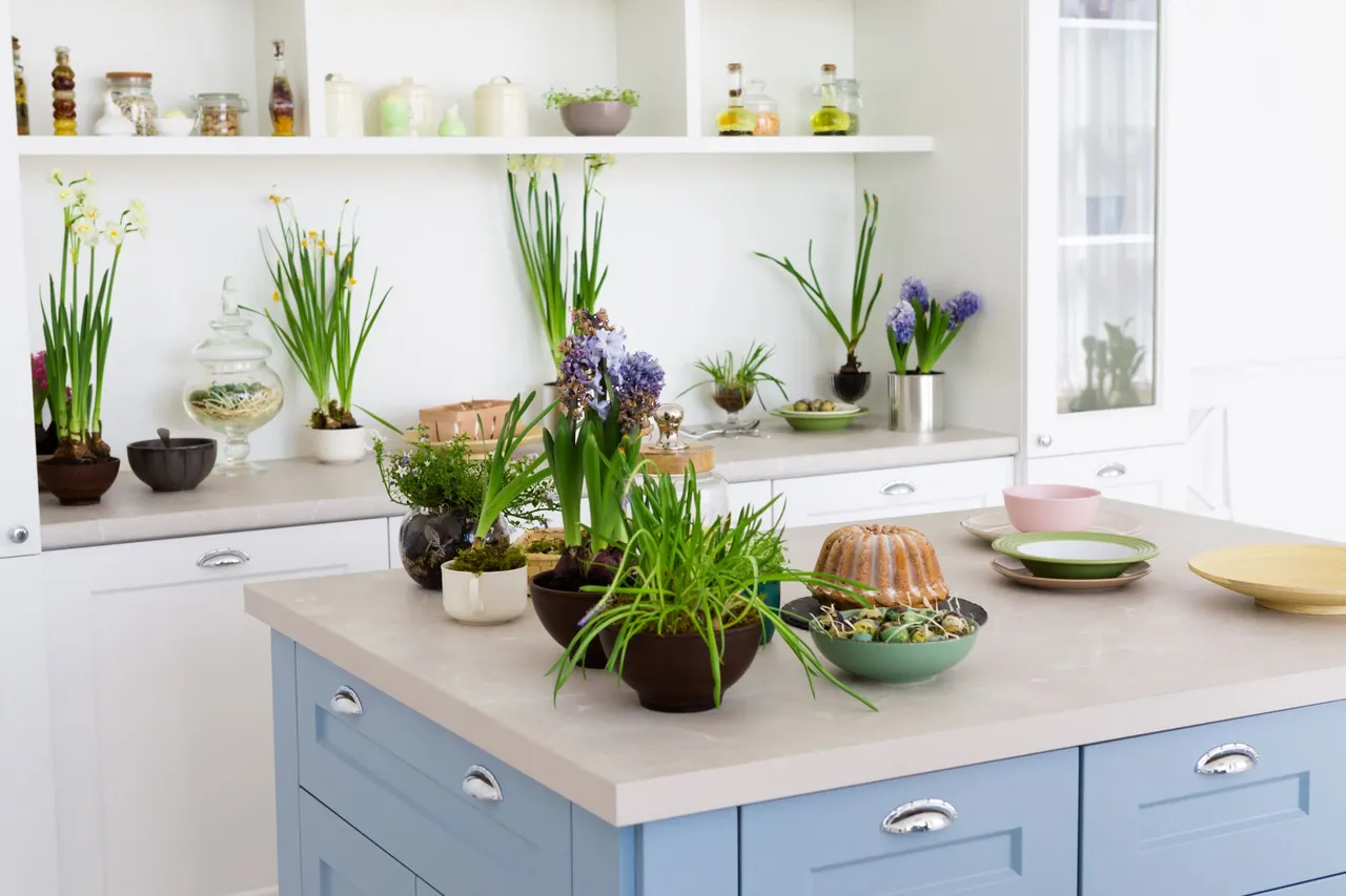 Cuisine à base de plantes : découvrez les meilleures recettes