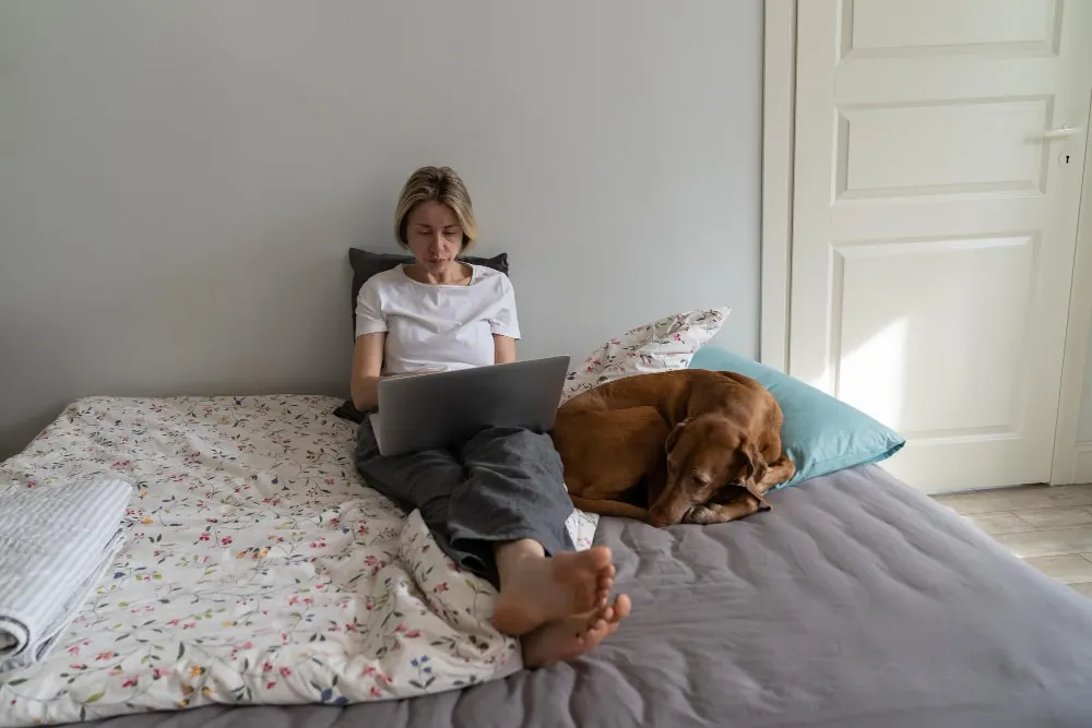Éduquer un chien : une tâche ardue mais enrichissante !