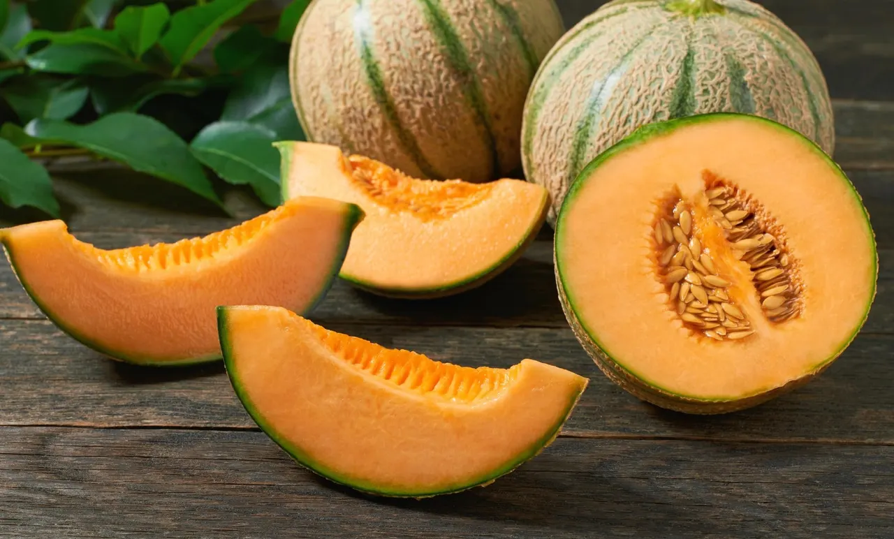 Le chien peut il manger du melon