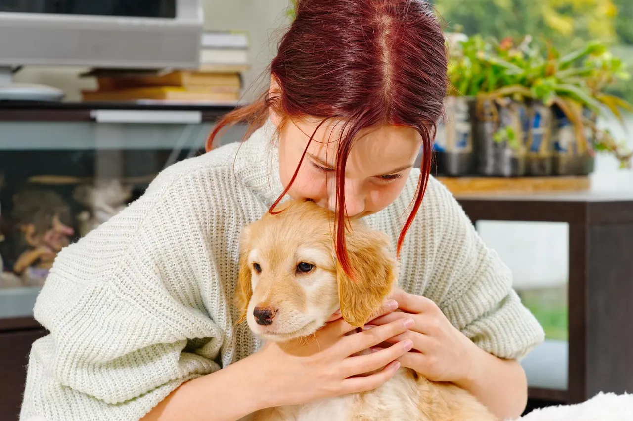 Les 10 races de chiens les plus adaptées aux enfants