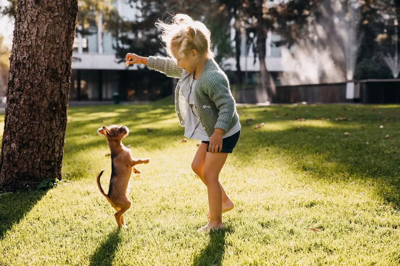 Les activités et les jeux que les enfants peuvent faire avec leur chien