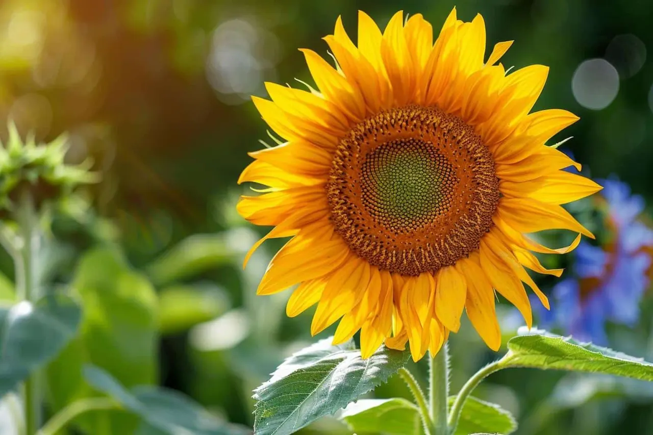 Quelles couleurs se marient parfaitement avec le jaune ?