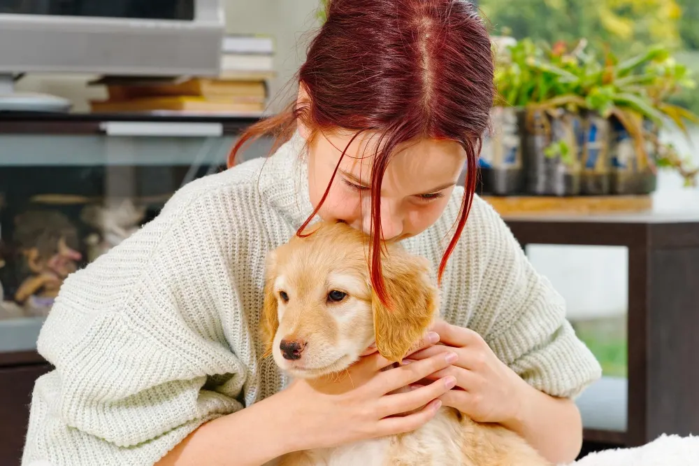 Les différentes races de chiens