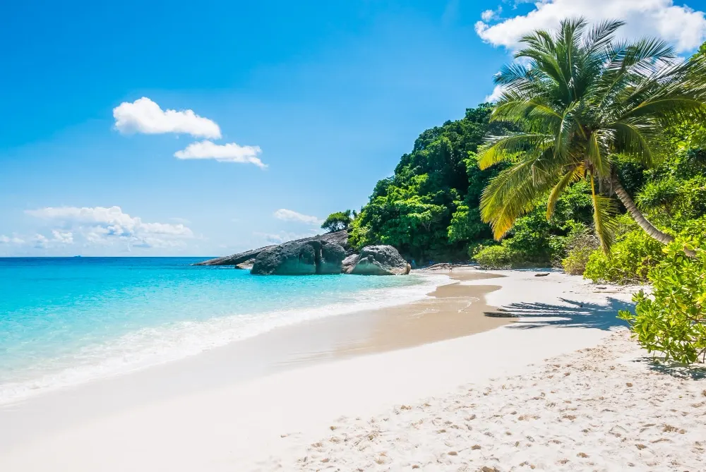 Quelle est la meilleure période pour visiter la Guadeloupe ?