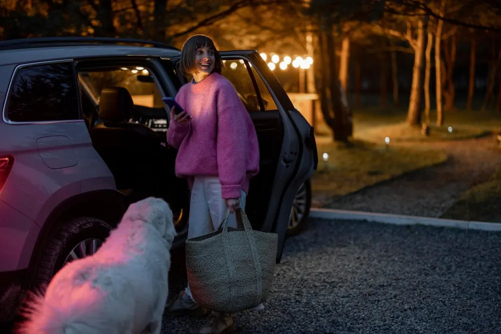 Voyager avec son chien : tout ce qu’il faut savoir